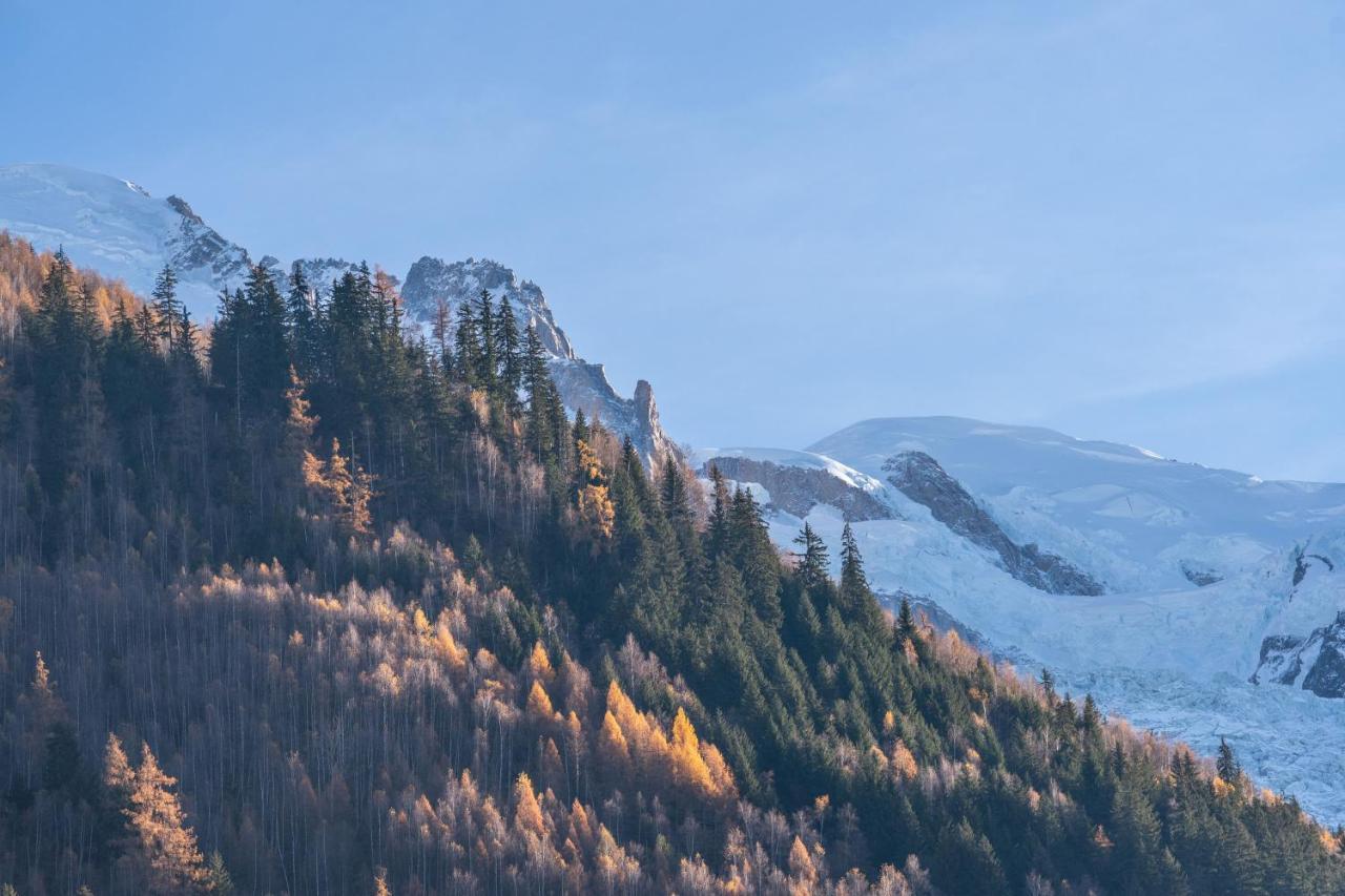 Chamonix Sud Studio With Mont Blanc Views Exterior photo
